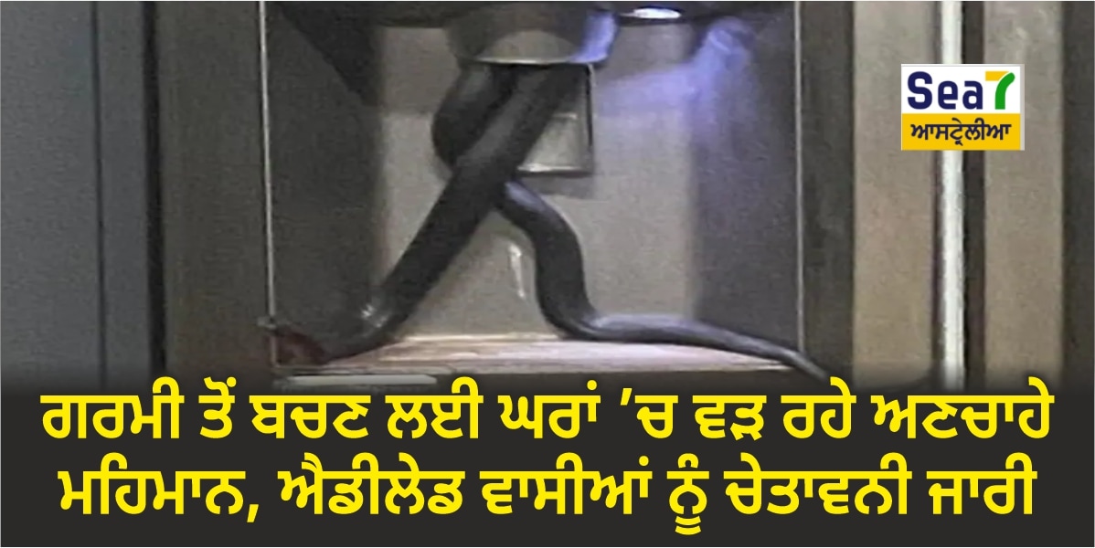 ਐਡੀਲੇਡ