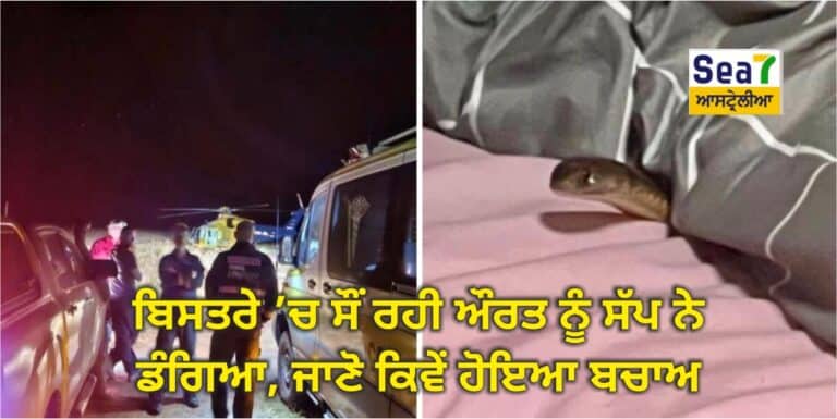 ਸੱਪ