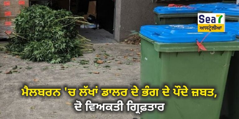 ਭੰਗ