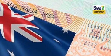 Temporary Work Visa