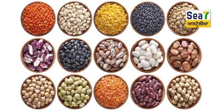 ਆਸਟ੍ਰੇਲੀਆ