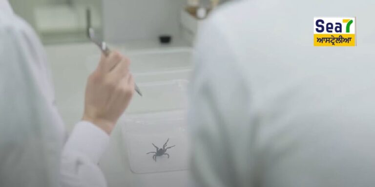 ਆਸਟ੍ਰੇਲੀਆ