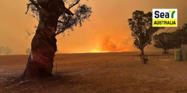 ਵਿਕਟੋਰੀਆ