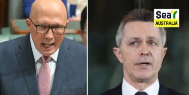 Peter Dutton