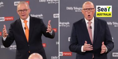 Anthony Albanese