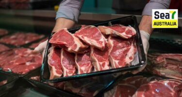 ਆਸਟ੍ਰੇਲੀਆ