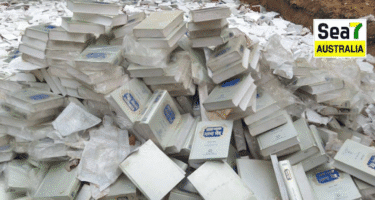 ਮਹਾਨਕੋਸ਼