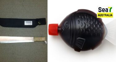 ਆਸਟ੍ਰੇਲੀਆ