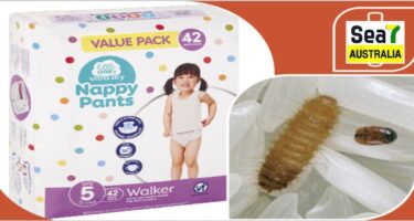 ਆਸਟ੍ਰੇਲੀਆ