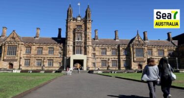 international students