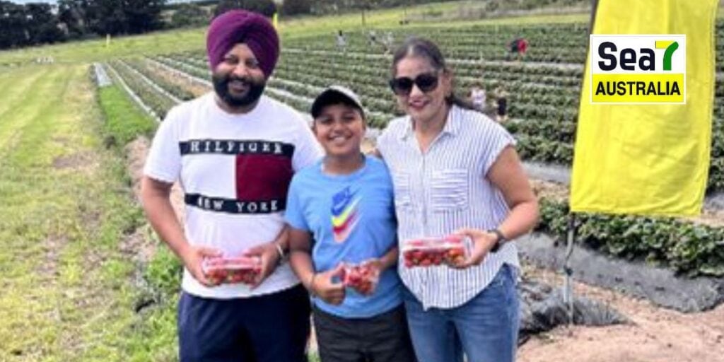 ਪੰਜਾਬੀ