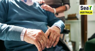 ਏਜਡ ਕੇਅਰ ਸਿਸਟਮ