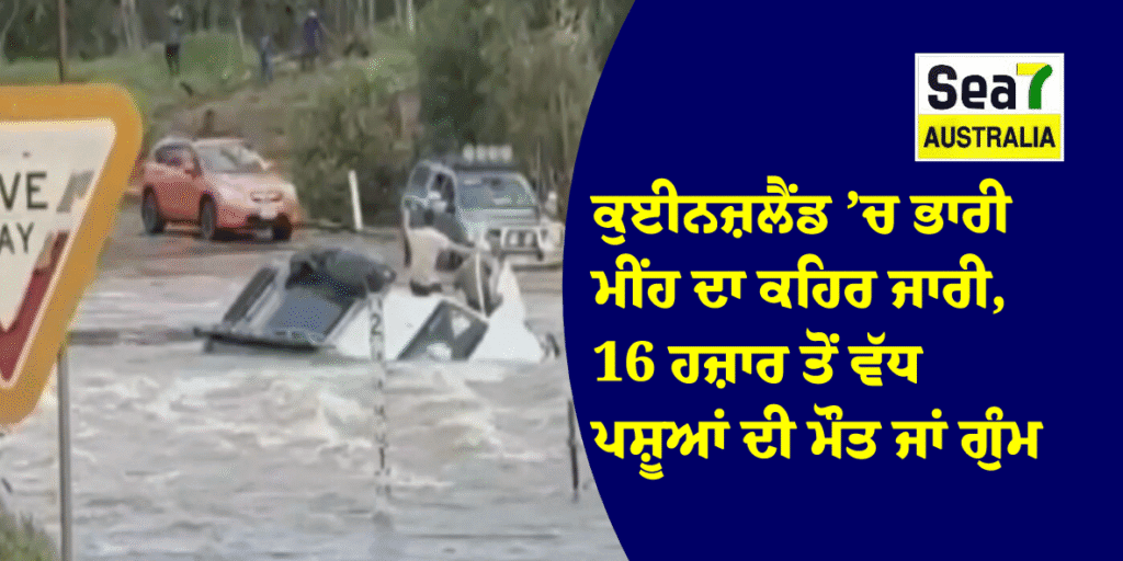 ਕੁਈਨਜ਼ਲੈਂਡ ’ਚ ਭਾਰੀ ਮੀਂਹ ਦਾ ਕਹਿਰ ਜਾਰੀ, 16 ਹਜ਼ਾਰ ਤੋਂ ਵੱਧ ਪਸ਼ੂਆਂ ਦੀ ਮੌਤ ਜਾਂ ਗੁੰਮ Townsville