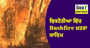 Bushfire
