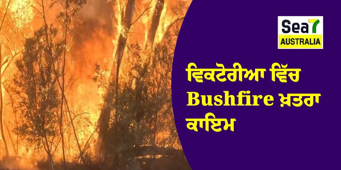 Bushfire