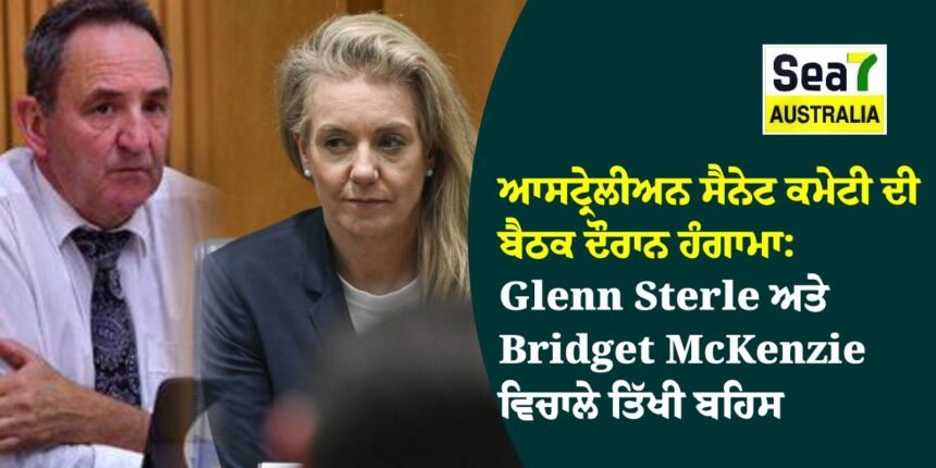 Bridget McKenzie