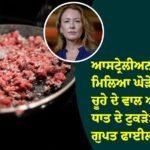 ਆਸਟ੍ਰੇਲੀਅਨ