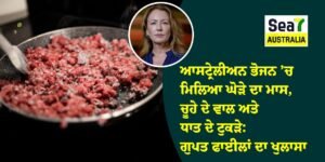 ਆਸਟ੍ਰੇਲੀਅਨ
