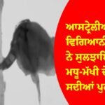 ਮਧੂ ਮੱਖੀ