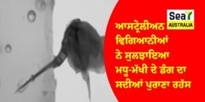 ਮਧੂ ਮੱਖੀ