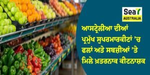 ਆਸਟ੍ਰੇਲੀਆ